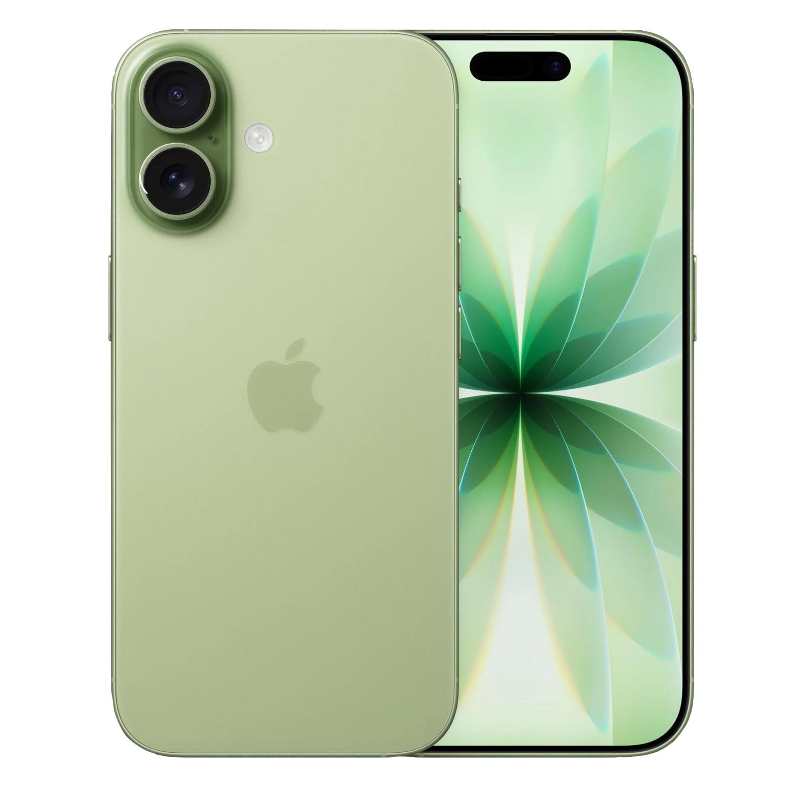 iPhone 17 in der Farbe salbei / sage