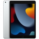 iPad mini (5. Generation), 64GB, silber (ID: TLM04), Zustand "sehr gut", Akku 95%